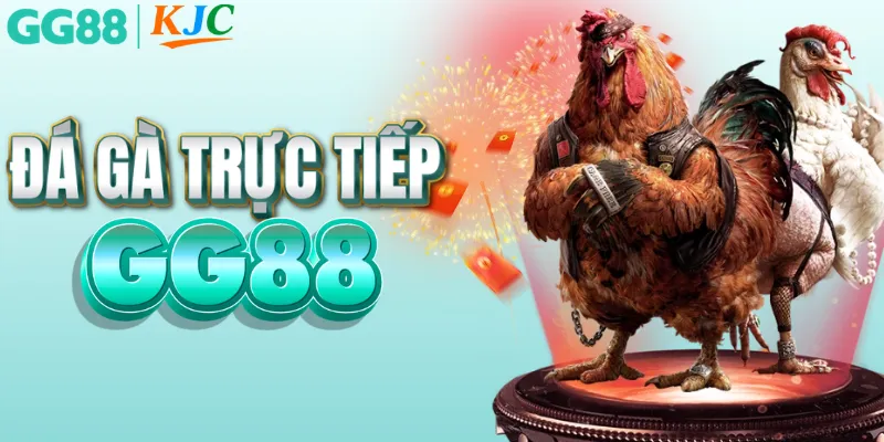 Xem đá gà trực tiếp Full HD tại nhà cái GG88